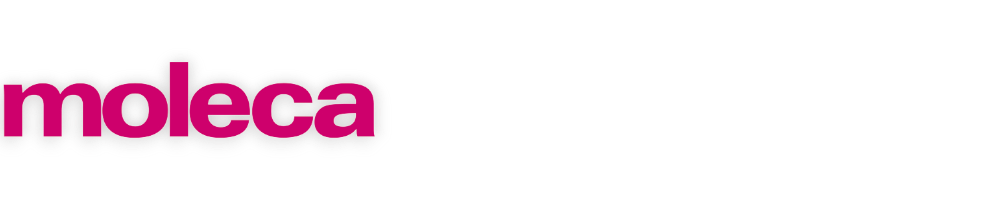 Moleca Atacado: Calçados Femininos para Revenda