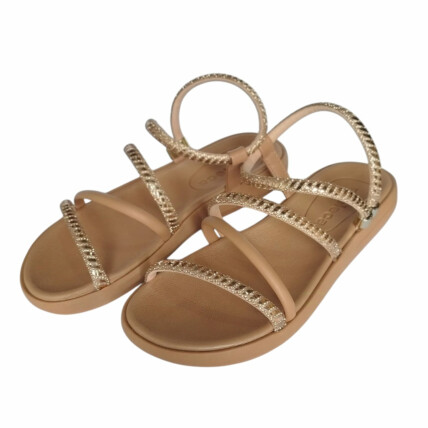 Sandália Moleca Caixa C/12 (34-40) 5525.104 Creme LP/OR/N 99162 1